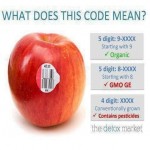 No GMO apple